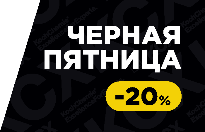 С 12 по 16 ноября