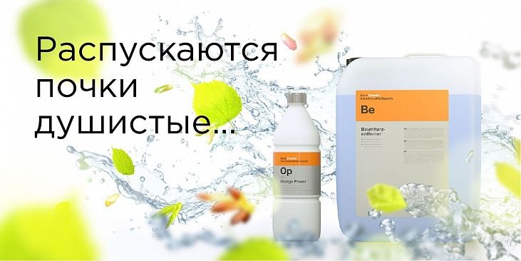 Распускаются почки душистые