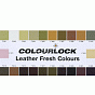 Краска для кожи COLOURLOCK мандарин Lederfarbe mandarine 1л  слайд 3