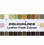 Краска для кожи COLOURLOCK Белая Lederfarbe weiß 1л слайд 3