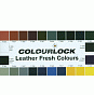 Краска для кожи COLOURLOCK мандарин Lederfarbe mandarine 1л  слайд 4
