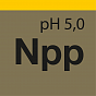 Nano Pure Polish - Высокопенистый полироль для автоматической мойки слайд 3