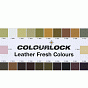 Краска для кожи COLOURLOCK красная Lederfarbe rot 1л слайд 3