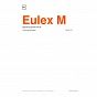 EULEX M - Очиститель клея, смолы, резины для матового лака (1 л) слайд 4