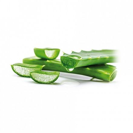 Одноразовые перчатки латексные 24 см. Reflexx L600-S. 6.2 гр. Толщина 0,12 мм. слайд 3 Одноразовые перчатки латексные 24 см. Reflexx L600-S. 6.2 гр. Толщина 0,12 мм. слайд 3