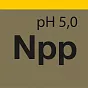 Nano Pure Polish - Высокопенистый полироль для автоматической мойки слайд 2
