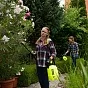 Ручной садовый помповый опрыскиватель Profession слайд 8